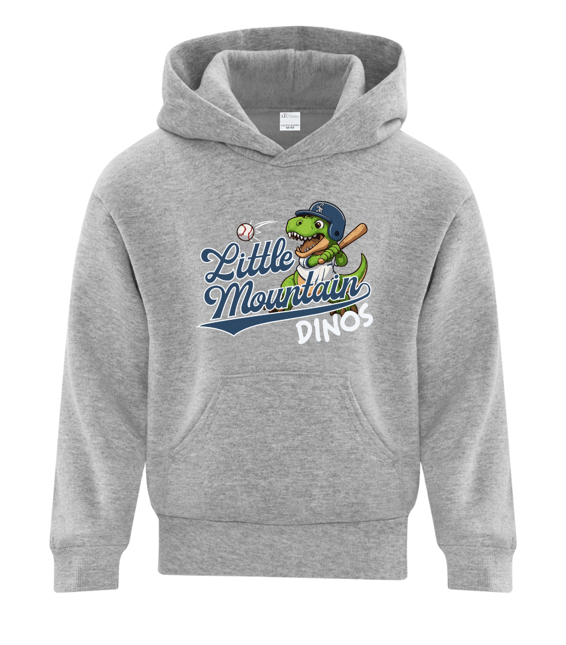 Little Mountain Dinos Youth Hoodie
